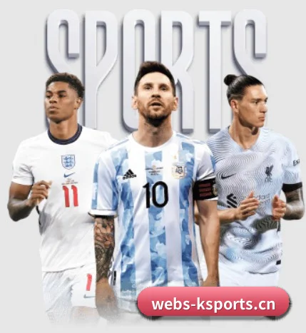k体育 APP(KSPORTS)